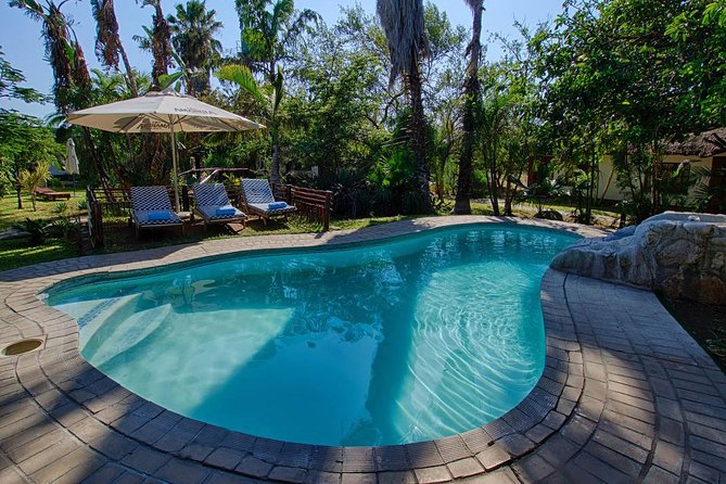 6 Day Classic Kruger National Park Safari from Johannesburg - Moholoholo Rehabilitation Centre: conservation you can see