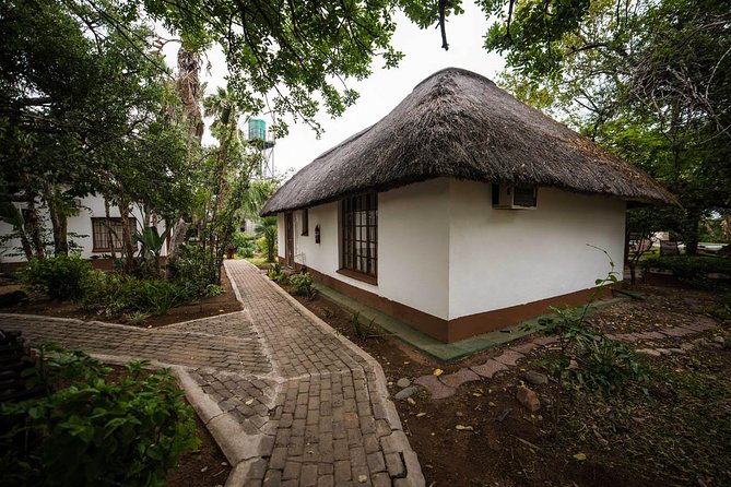 6 Day Classic Kruger National Park Safari from Johannesburg - A 3-hour Balule game drive with the comfort of a return base