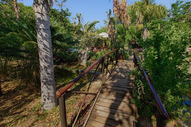 6 Day Classic Kruger National Park Safari from Johannesburg - Panorama Route and Blyde River Canyon on day 6