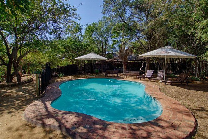 6 Day Lodge and Treehouse Kruger National Park Safari - Price and Value: How the Math Usually Works Out