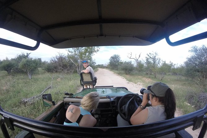 6 Day Lodge and Treehouse Kruger National Park Safari - Day 1 in Balule: Arrival, Sunset Drive, and a Bush BBQ