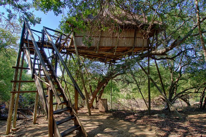 6 Day Lodge and Treehouse Kruger National Park Safari - Balule Big Five Reserve Afternoon: Another Open-Vehicle Chance