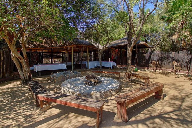 6 Day Lodge and Treehouse Kruger National Park Safari - Day 5 Back in Kruger: Your Second Full Day for the Big Five