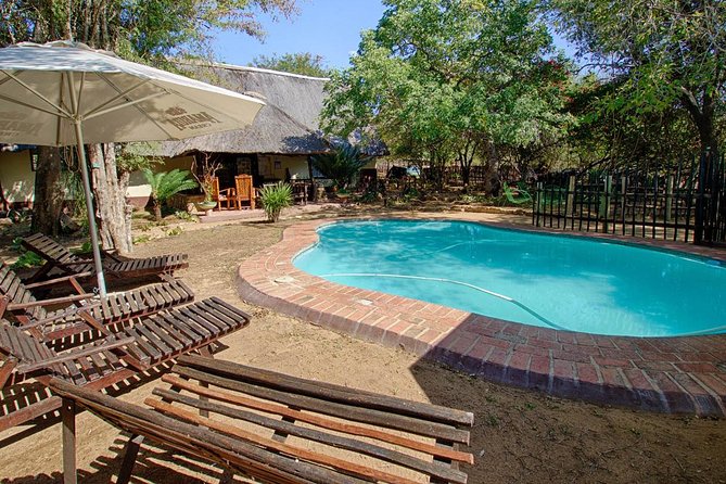 6 Day Lodge and Treehouse Kruger National Park Safari - Day 2 in Balule: The Walk That Changes How You See the Bush