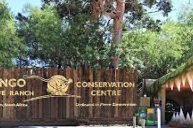 7- 10 Days Tour Package Cape Town and Garden Route - Road Trip to the Garden Route: Wilderness Base and Quick Stops at Riviersonderend, Riversdale, and Mossel Bay