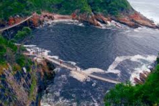 7- 10 Days Tour Package Cape Town and Garden Route - Price and Value at about $862.08 per person: What is included, what costs extra