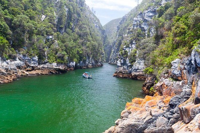 7-day Cape Town, Winelands, Garden Route and Addo National Park - Key highlights that make this route work