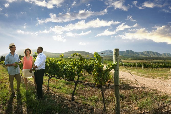 7-day Cape Town, Winelands, Garden Route and Addo National Park - Price, what you actually get, and where value shows up at $1,990
