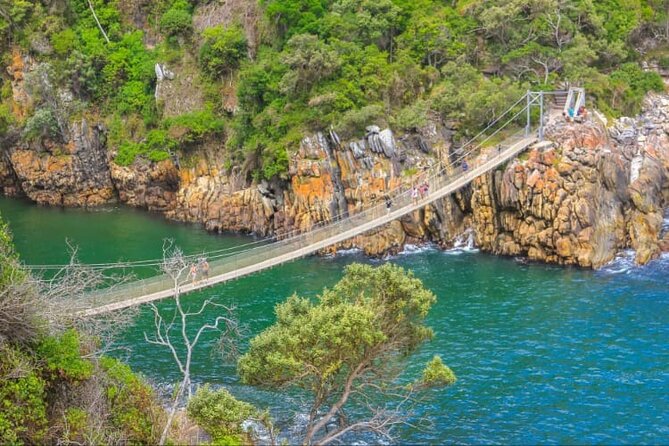 7-Day Garden Route Safari Adventure from Cape Town - Price and What You Really Get for $616.25 Per Person