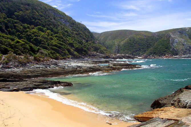 7 Day Garden Route to Addo, Cape Point and Winelands Combo tour - Addo Elephant National Park: early safari time and a relaxed afternoon