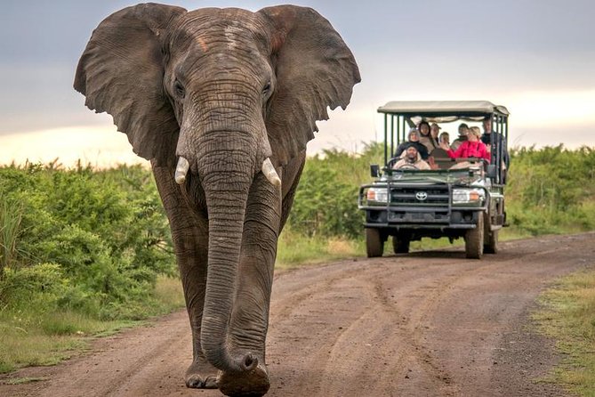 7 Day Garden Route to Addo, Cape Point and Winelands Combo tour - The return toward Cape Town, with an optional Big Five-style drive