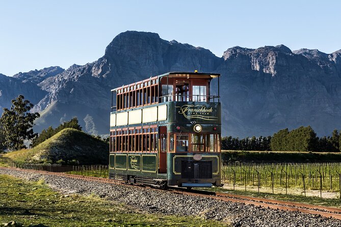 7 Day Garden Route to Addo, Cape Point and Winelands Combo tour - Winelands day 6: estates, tastings, and the Franschhoek versus Stellenbosch pattern