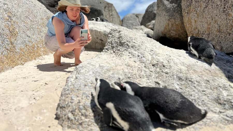 A Curious Adventure through Chapman’s Peak Drive: Cape Point - Noordhoek Farm Village, Quick Stops, and Getting Your Bearings