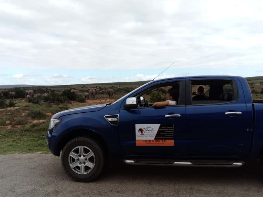 Addo Elephant National Park Game Drive Day Tour With Lunch - Key Points You Should Know