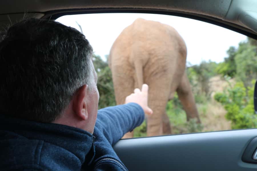 Addo Elephant National Park Game Drive Day Tour With Lunch - Braai Lunch Inside Addo, and What Happens If Weather Changes