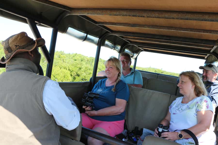 Addo Elephant National Park Game Drive Day Tour With Lunch - What You Can Realistically Expect to See