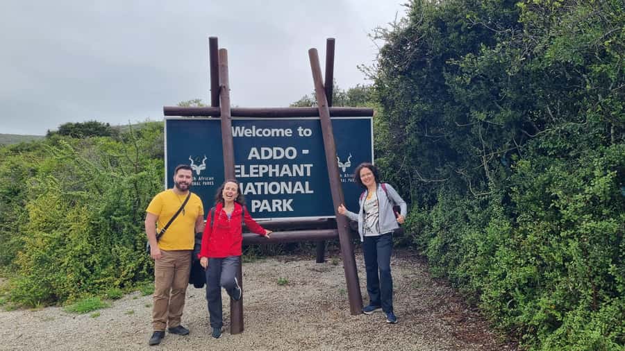 Addo Elephant National Park Private Full-Day Safari - Private pickup and a comfortable ride into Addo