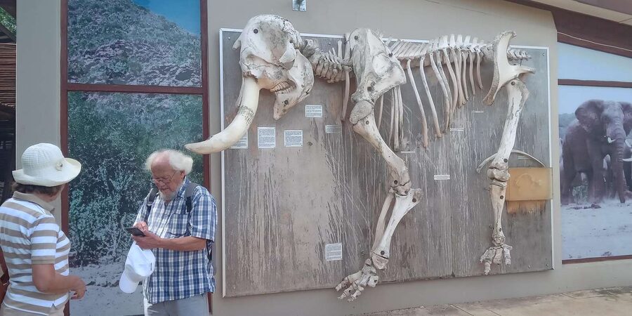 : Addo Elephant National Park Safari Half Day - Clothing and gear, the stuff that keeps you comfortable
