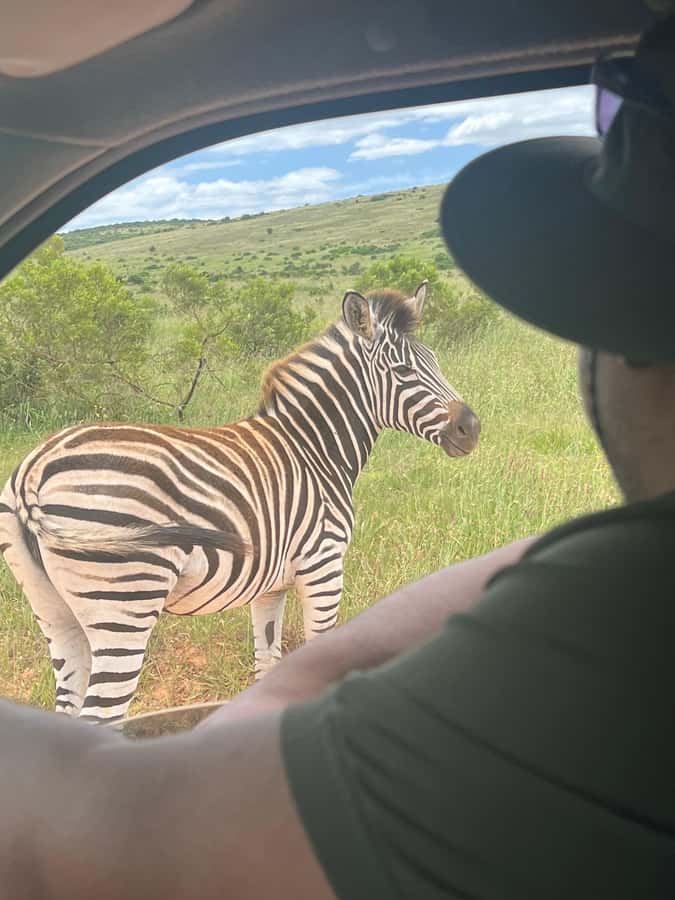 ADDO ELEPHANT PARK - What the included snacks and entrance fees mean for your day