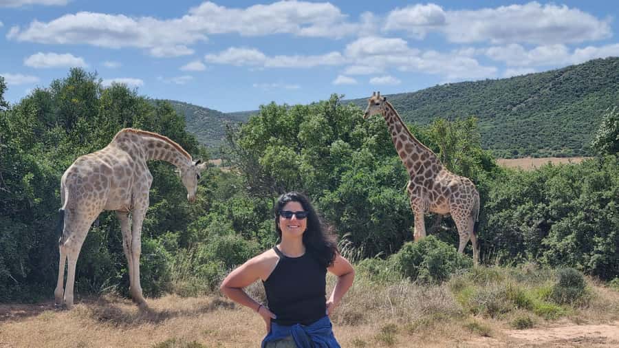 Addo Elephant Park and Giraffe Walk Full Day Safari - Morning pickup and the drive to malaria-free Addo