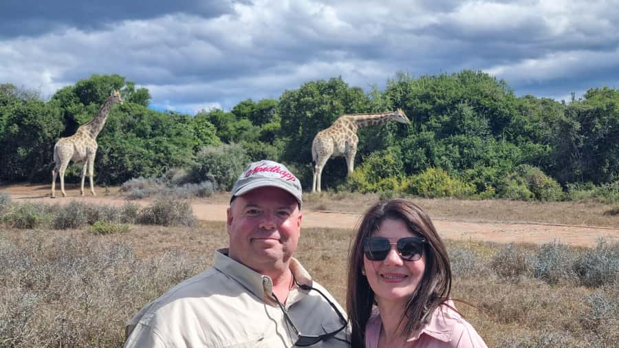 Addo Elephant Park and Giraffe Walk Private Full Day Safari - Entering Addo Elephant National Park: what you are really looking for