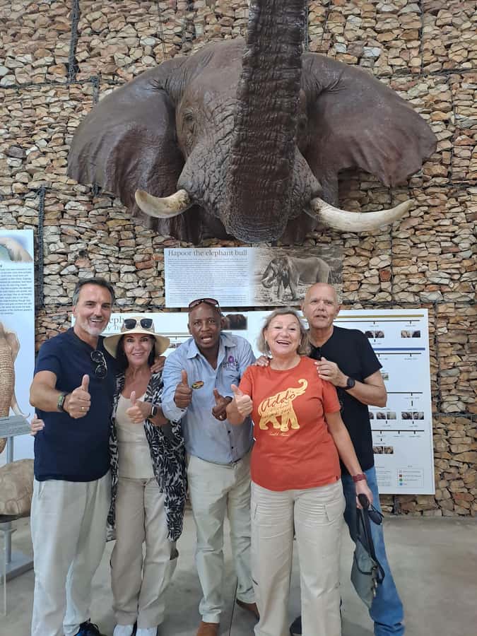Addo Elephant Park:Safari Tour meet Big 5 to be satisfied - Key Points That Matter Before You Go