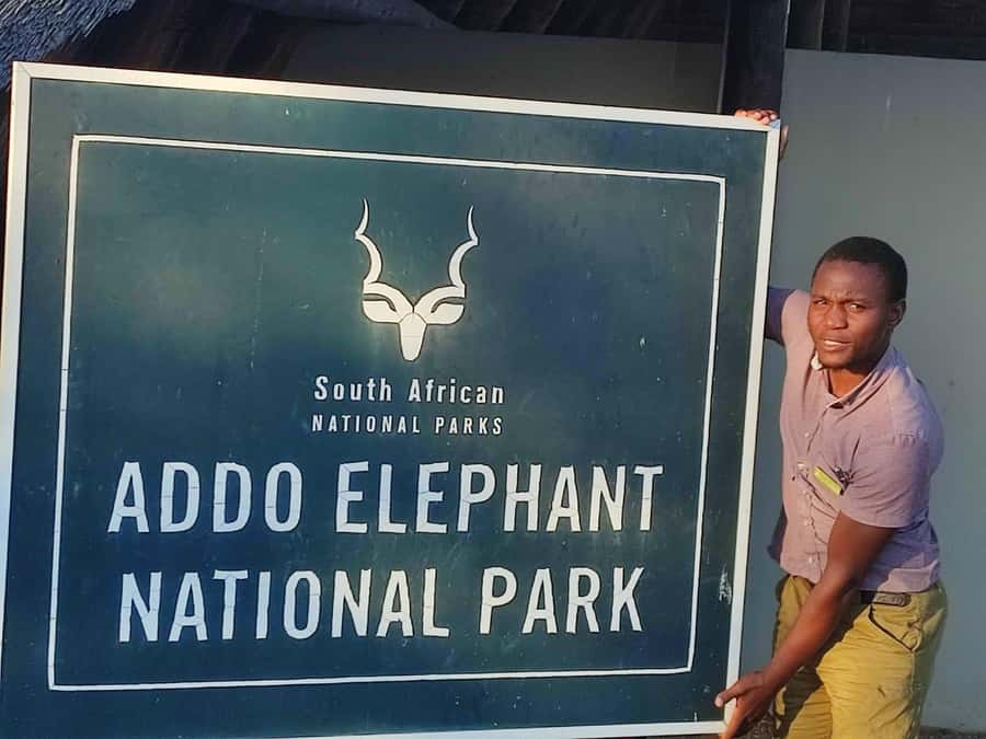Addo Elephant Park Tours. Full Day - Addo Elephant National Park safari, from Port Elizabeth to game drive