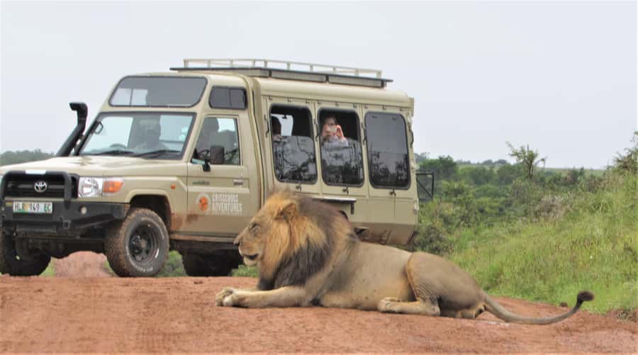 Addo National Park: Guided Half-Day Safari - Guides who do more than spot animals