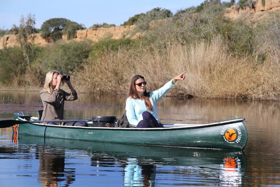 Addo River Safari - Guided Tour via Canoe - The birdwatching playbook: kingfishers and that Fish Eagle chance