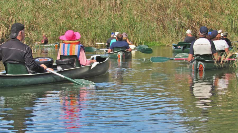 Addo River Safari - Guided Tour via Canoe - Canoes, safety, and photo setup that actually helps