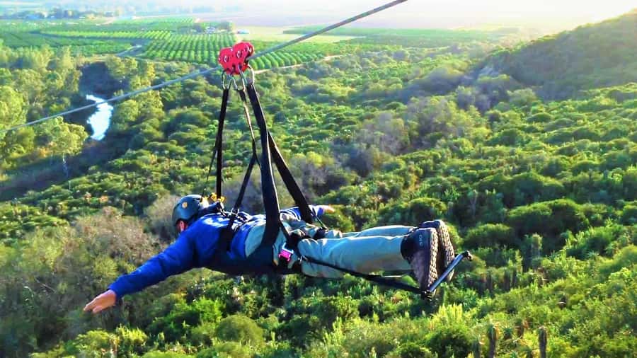 Adrenalin Addo Adventure Park: Zipline, Superman & Swing - The King Swing: Suspense, Free-Fall, Then High Swinging