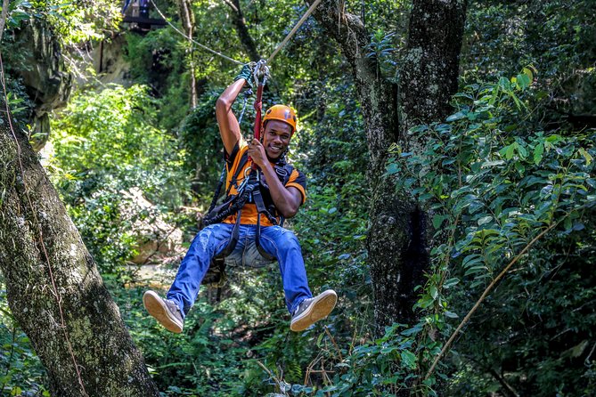 Aerial Cable Trail in Hazyview - Quick hits before you go