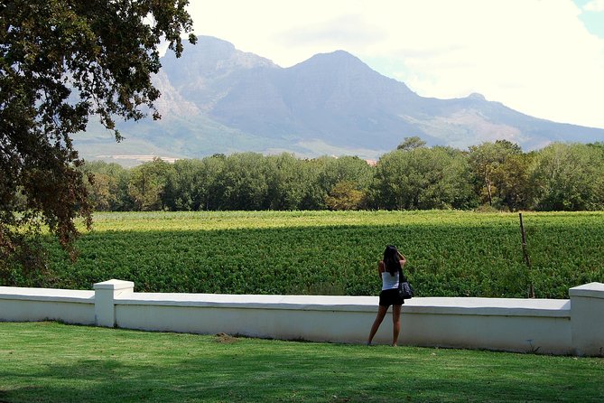 African Story Wine Tours in the Cape Winelands - Cape Winelands in one day: why this route makes sense