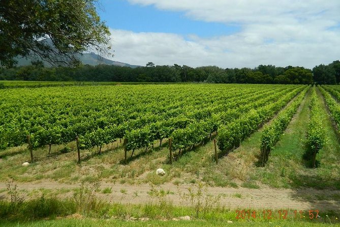 African Story Wine Tours in the Cape Winelands - First stop energy: what happens at African Story Wine Tours