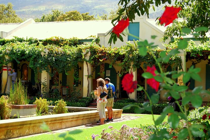 African Story Wine Tours in the Cape Winelands - Lunch at Le Pommier: a real break with wine included