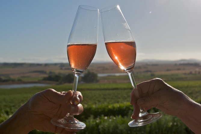 African Story Wine Tours in the Cape Winelands - Guides: Donovan, Bruce, Willem, and Theunis are a big part of the magic