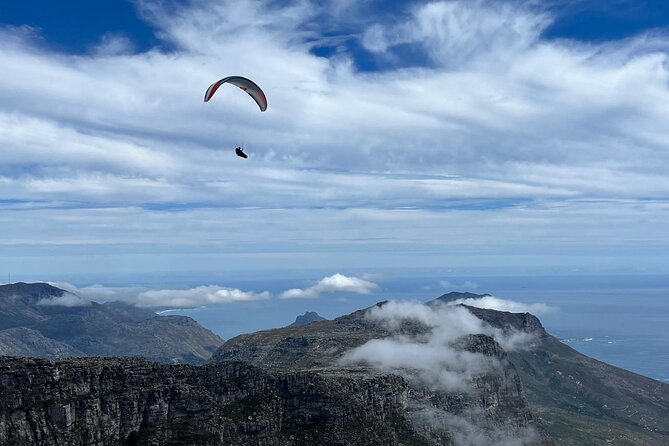 African Wonder of Nature Table Mountain Hike. - Wildlife and Fynbos Moments: How to Get More Than Just a Workout