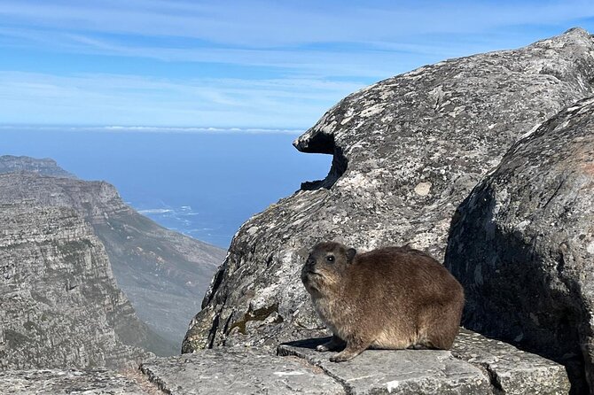 African Wonder of Nature Table Mountain Hike. - What a 6-Hour Hike Feels Like, and How to Prepare