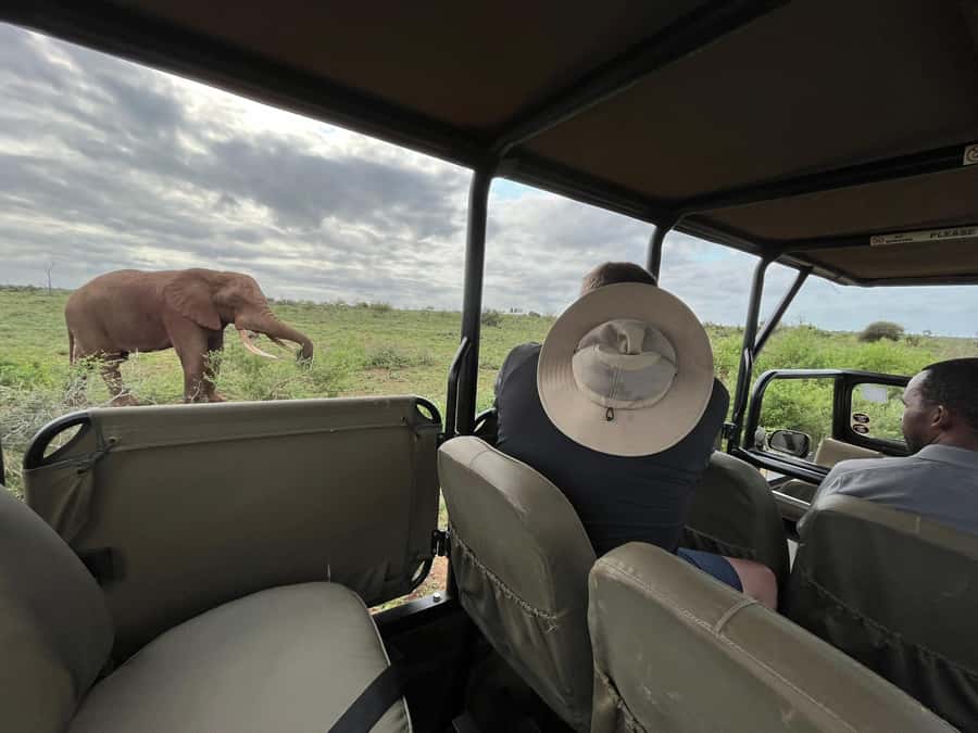 All Inclusive 3 Day Kruger Safari from Nelspruit - Key points to know before you go
