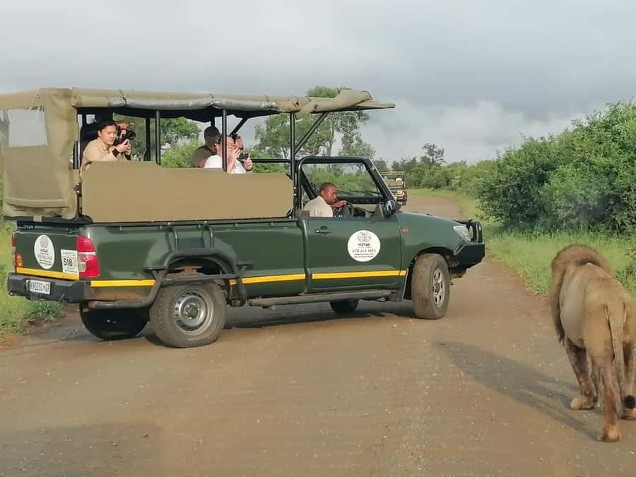 All Inclusive 3 Day Kruger Safari from Nelspruit - Getting there and back: the easy part you should still plan for