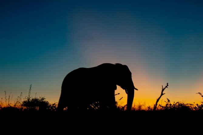 Aquila Game Reserve Sunset Safari - Aquila Sunset Safari, Cape Town to Karoo in One Ride
