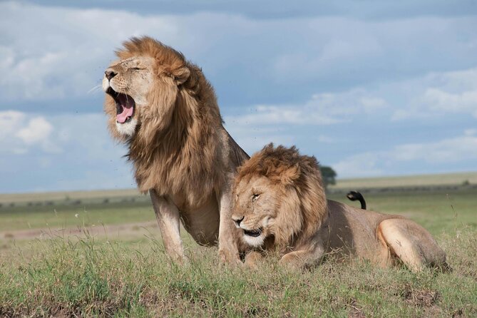 Aquila Game Reserve Sunset Safari - Your 5-Hour Plan: Start at 12:00 pm, Back by the Evening