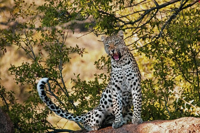 Aquila Game Reserve Sunset Safari - Worcester Stop: Breede River Valley Views and Local Culture