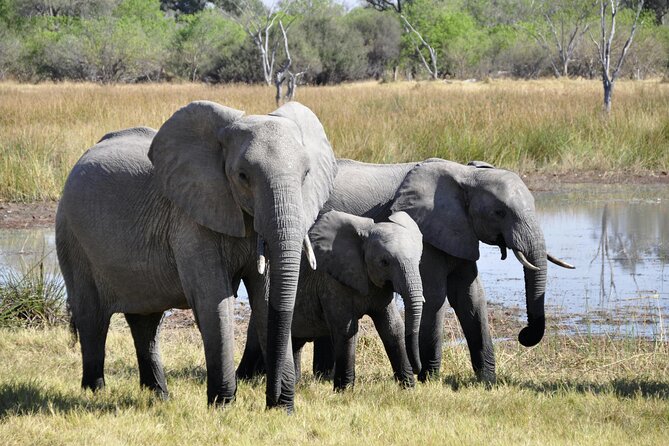 Aquila Game Reserve Sunset Safari - Group Size, Guide Style, and What a Small Safari Really Means