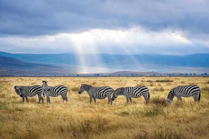 Aquila Game Reserve Sunset Safari - Price and Value: Is $165 a Good Deal?