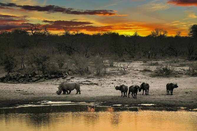 Aquila Game Reserve Sunset Safari - Tips to Enjoy the Ride: What to Bring and How to Prepare