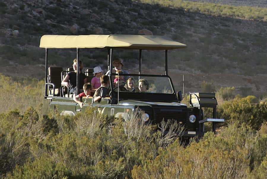 Aquila Reserve: Private Day Tour with Shared Game Drive - Key points before you go
