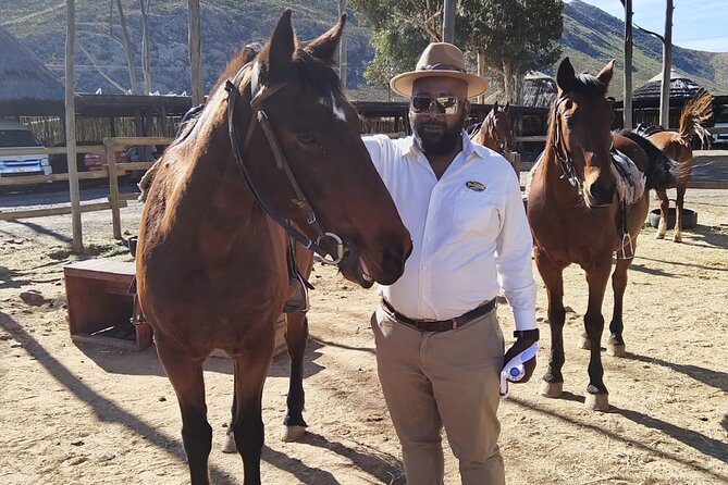 Aquila Reserve Safari with Lunch and Wine Tasting - Price and value: what you pay, what you still need to budget