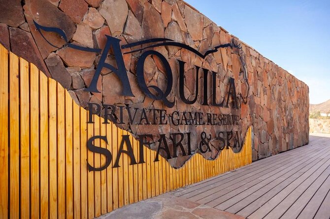Aquila Safari Game Drive Lunch & Transfers from Cape Town - Key Highlights You’ll Actually Feel