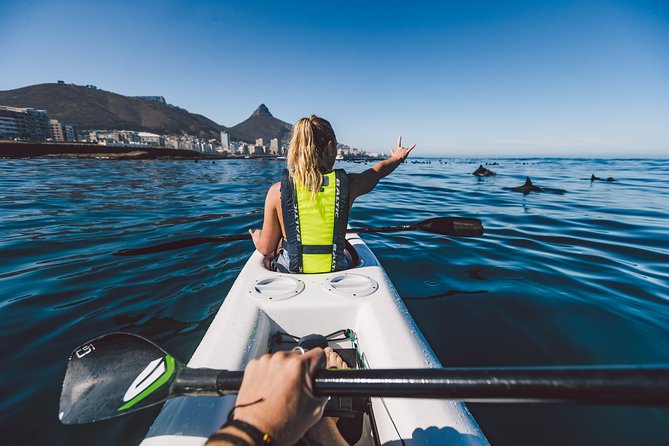 Atlantic Outlook Kayak Tour Cape Town - Lions Head and Signal Hill From the Water: The Views That Change How You See the City